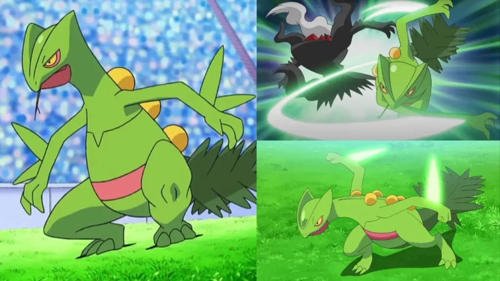 Sceptile vs Darkrai